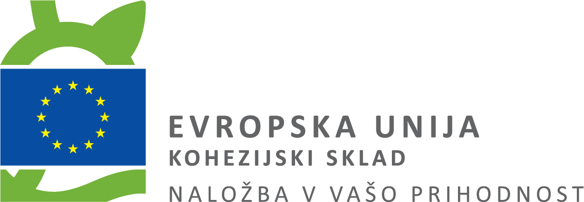 Evropska unija — Kohezijski sklad